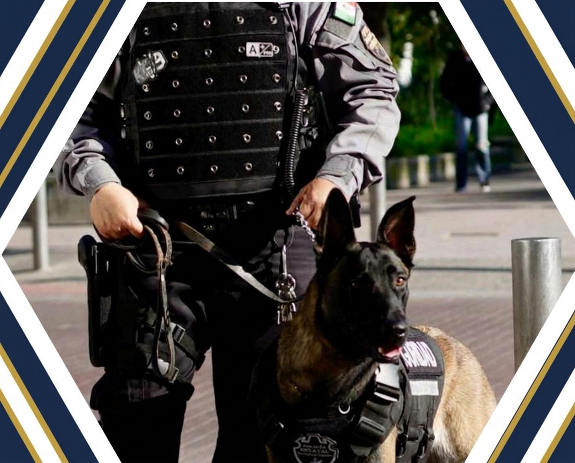 Guardia de seguridad con perro K9 entrenado durante un recorrido de vigilancia